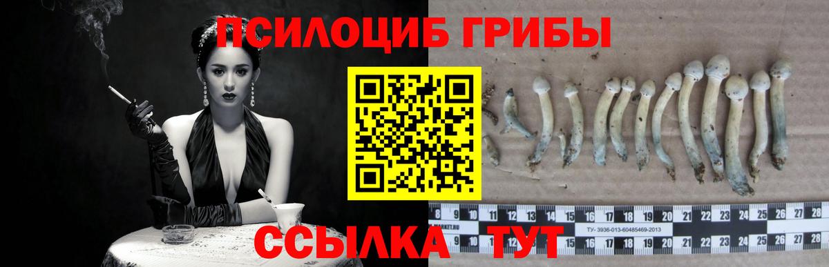 Галлюциногенные грибы Cubensis  Вход с VPN  наркота  Псилоцибиновые грибы Psilocybe  Реутов 
